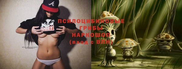 стафф Балахна
