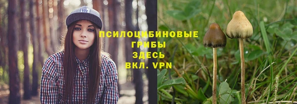 шишки Горно-Алтайск